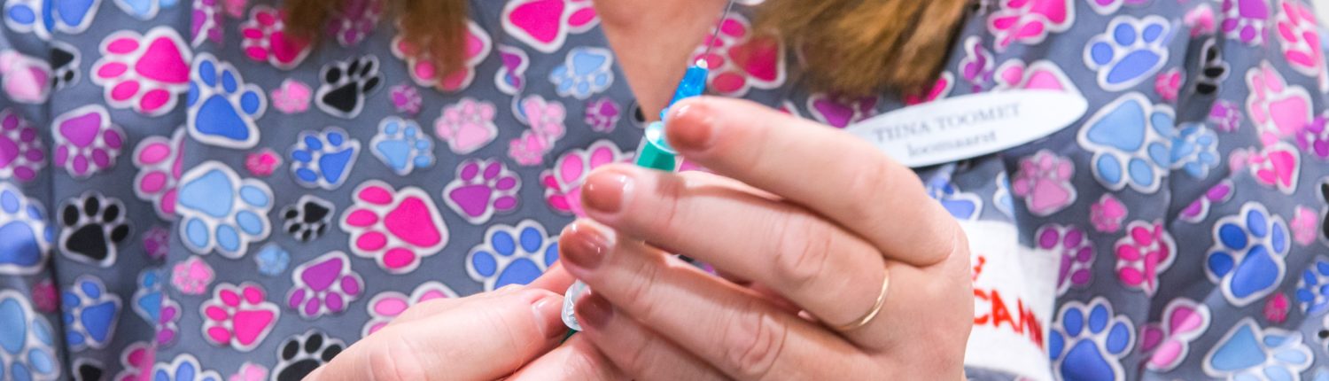 Lemmikloomade vaktsineerimine