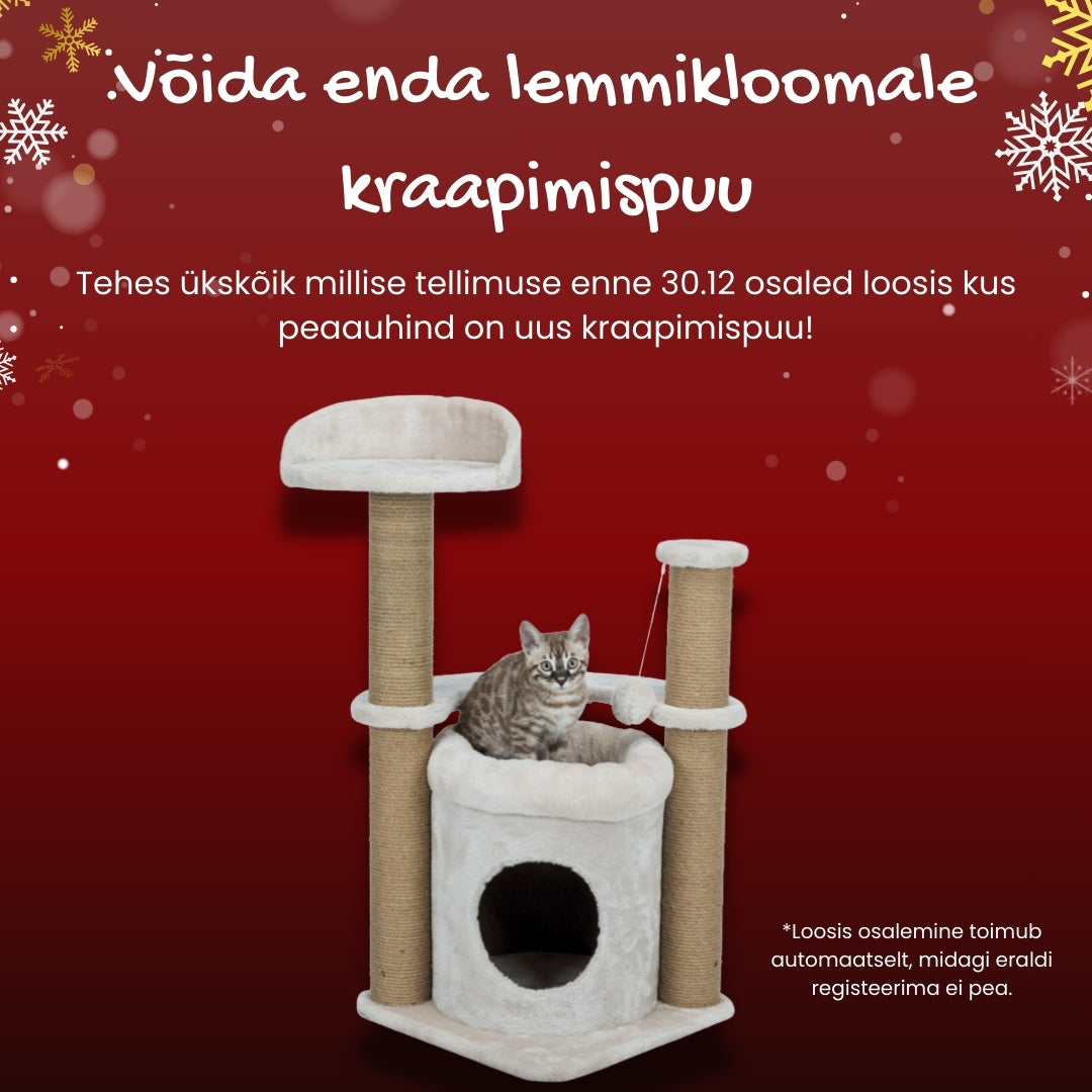 Joonistus Sinu Lemmikloomast